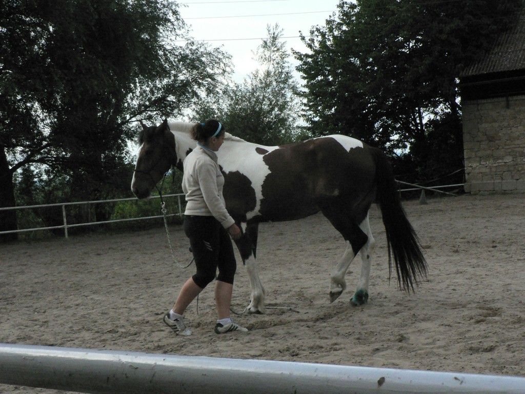 kousek obratu - ustupování zádí