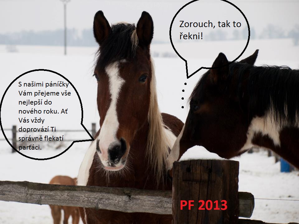 PF 2013
